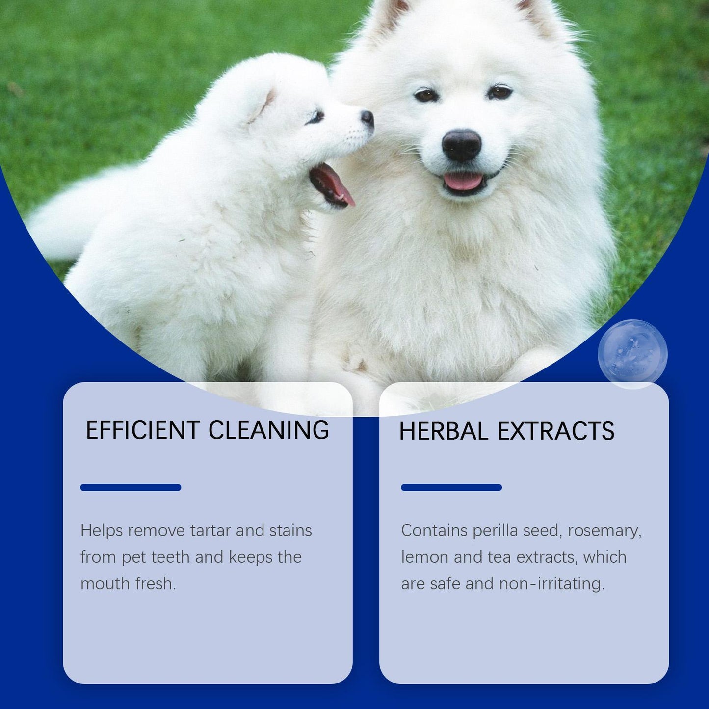 Polvo Limpiador Dental para Perros - Elimina Sarro y Mal Aliento Naturalmente