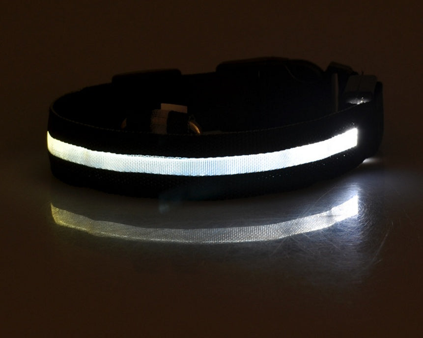 Collar LED Luminoso Recargable USB para Perros - Seguridad Nocturna Ajustable