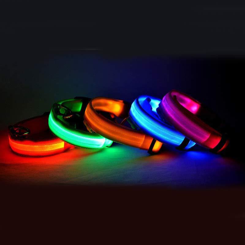 Collar LED Luminoso Recargable USB para Perros - Seguridad Nocturna Ajustable