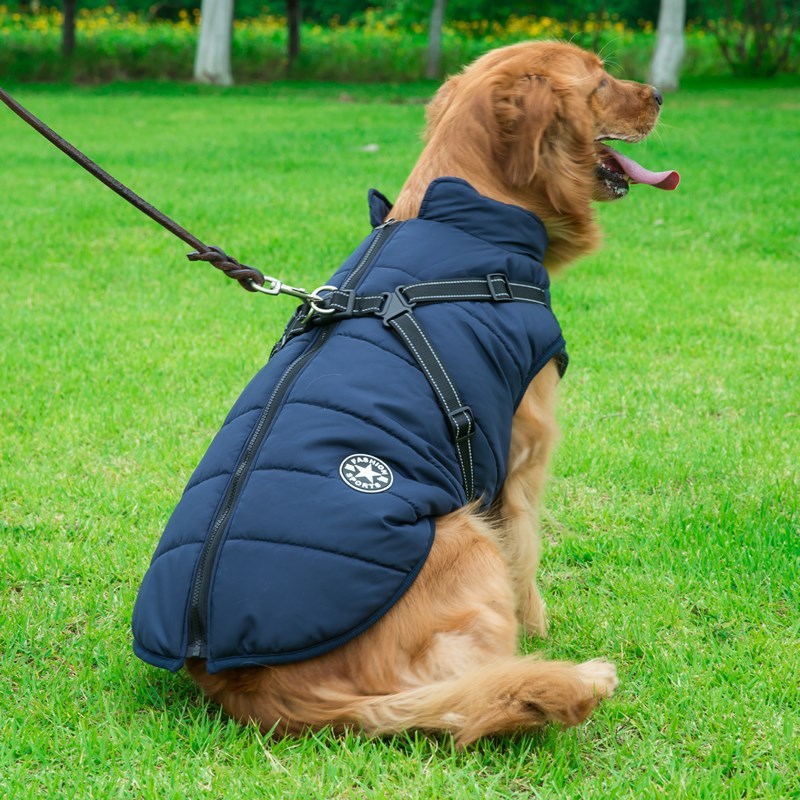 Veste thermique avec harnais intégré pour petits chiens - Imperméable