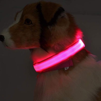 Collar LED Luminoso Recargable USB para Perros - Seguridad Nocturna Ajustable
