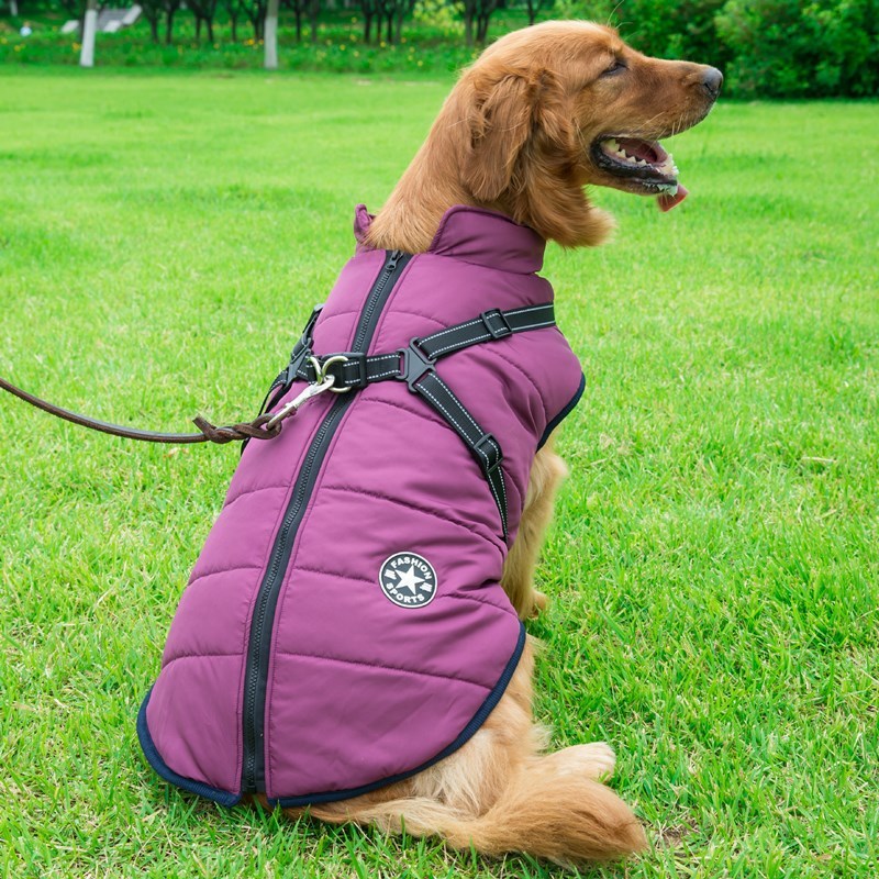 Veste thermique avec harnais intégré pour petits chiens - Imperméable